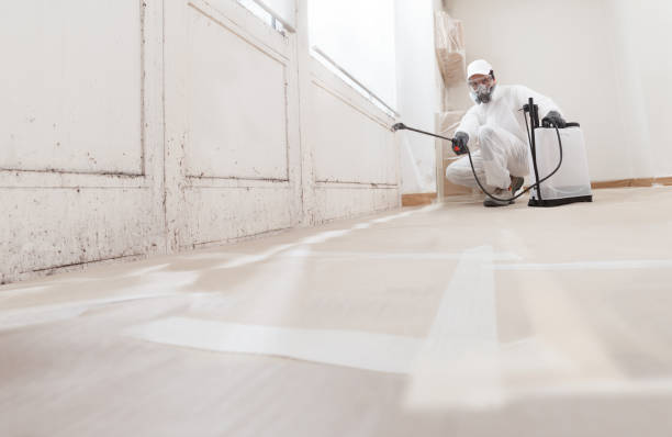 24/7 Emergency Mold Remediation experts in Wilmington, NC