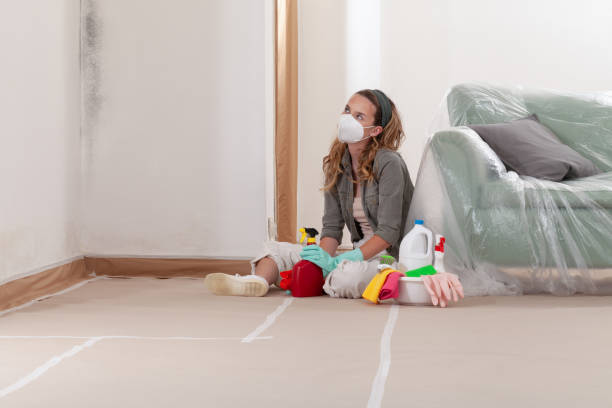 Reliable Mold Remediation contractor in Wilmington, NC by WQB Mold Removal